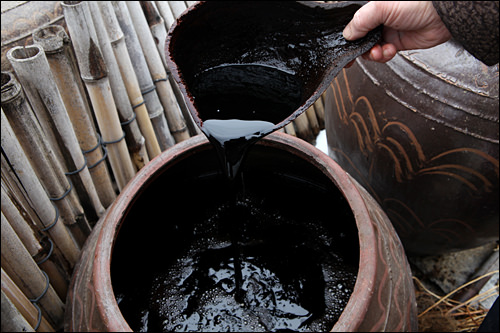 黑得发亮的酱油引子