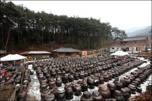 竹子翠绿、野花飘香的春天,坛子里的酱油也越发美味