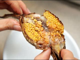 圆润大颗的鱼籽