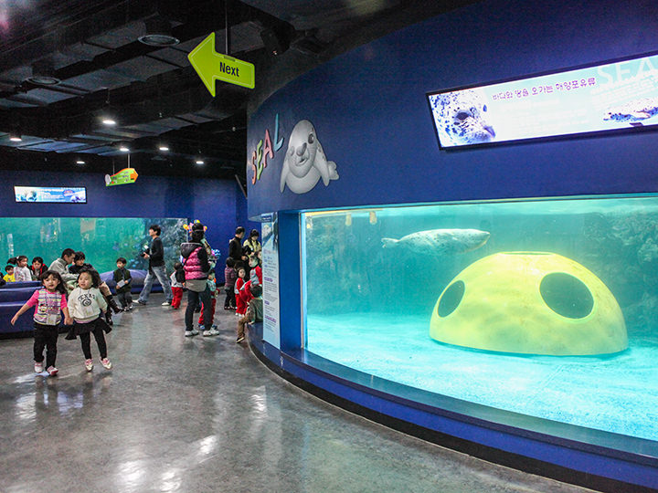 海洋哺乳生物区