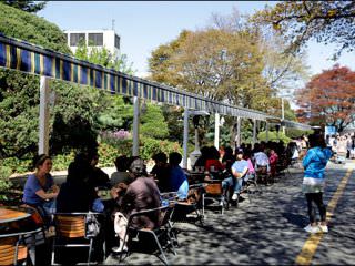 休闲感十足的自助餐厅