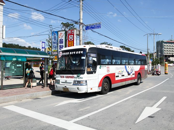 到达海水浴场的公交车