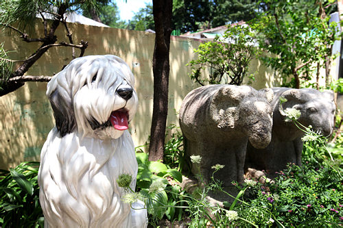 汉成的爱犬“扫帚”