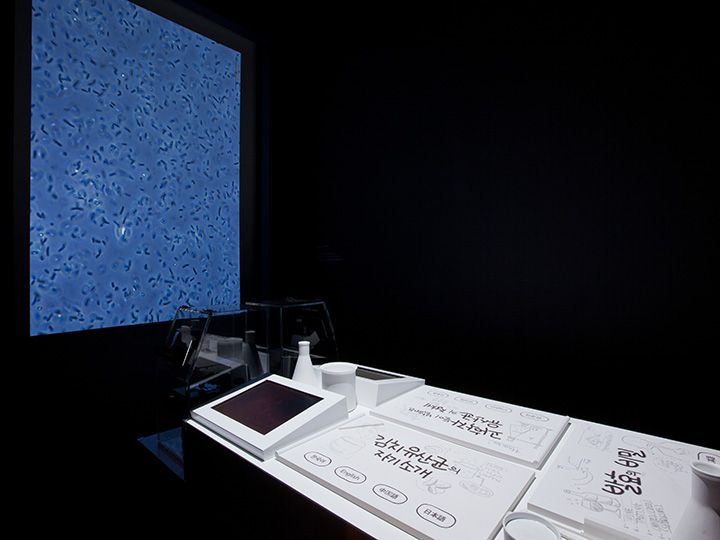 科学家的秘密实验室