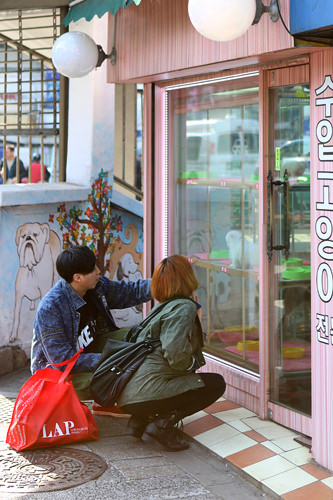 忠武路宠物街_韩国购物_韩国旅游网-韩巢