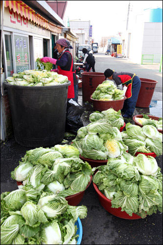 大规模制作过冬食物泡菜的情景。在市内难得一见。