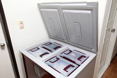 能长久保存泡菜的泡菜专用冰箱左右分割为两个独立空间,分别具有冷藏和冷冻功能。