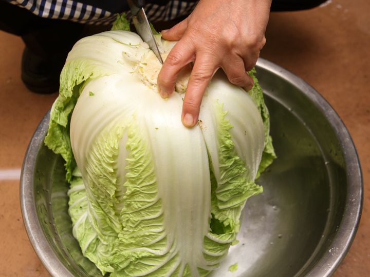 1. 从白菜根部用刀切成两半,菜叶等无法用刀顺利切开的部分,需要用手慢慢地撕开,以防止菜叶折断或破裂。