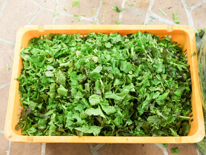 独特的口感与以辣味著称的芥菜。