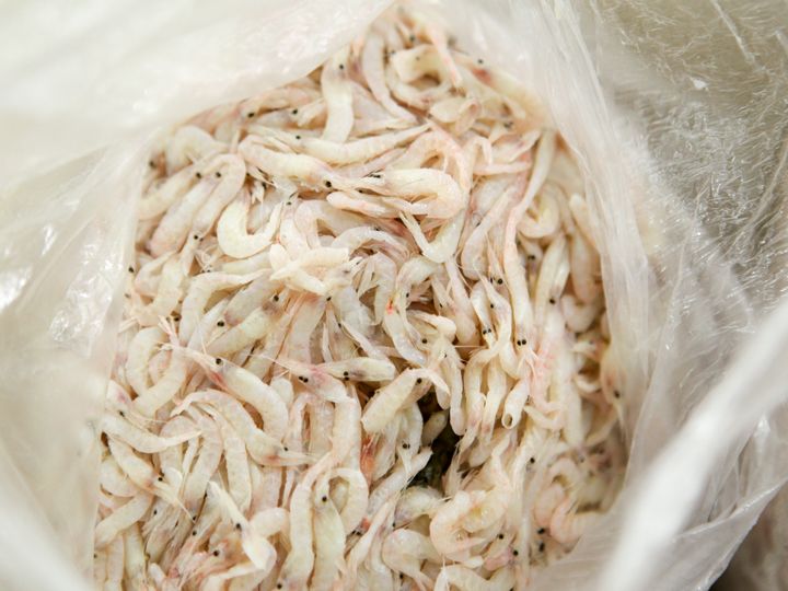 拥有坚实躯壳的生虾,有些家庭会选用生牡蛎。