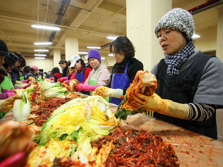 “泡菜酱太少就会不好吃”主妇们按部就班娴熟地制作越冬泡菜。