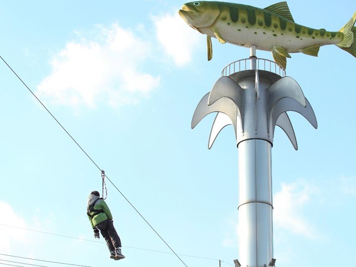 滑索(ZIP LINE)