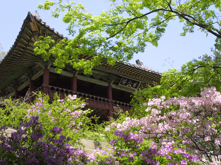 韩国的气候与服装 韩国旅游基本信息 韩国旅游网 韩巢网
