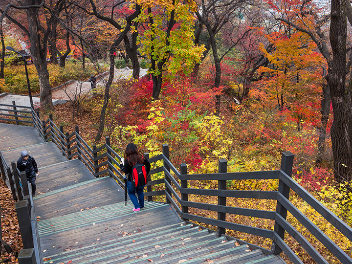 韩国的气候与服装 韩国旅游基本信息 韩国旅游网 韩巢网