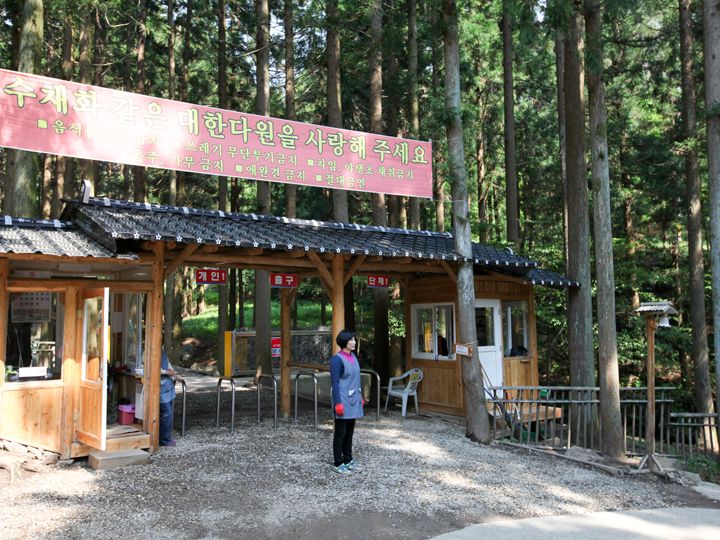 从像韩屋的入口的门进入