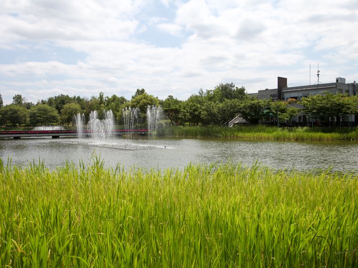 首尔林_韩国景点推荐_韩国旅游网-韩巢网