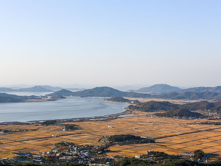 走上阶梯到达顶峰