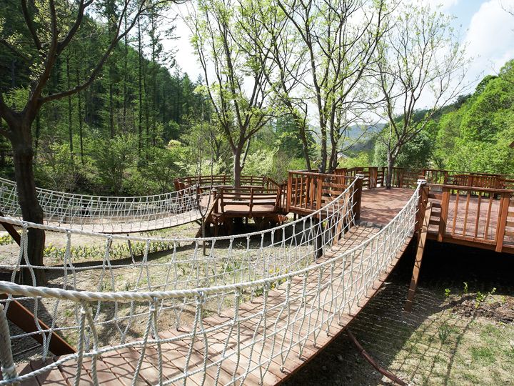 翡翠花园 韩国景点推荐 韩国旅游网 韩巢网 翡翠花园 韩国景点推荐 韩国旅游网 韩巢网