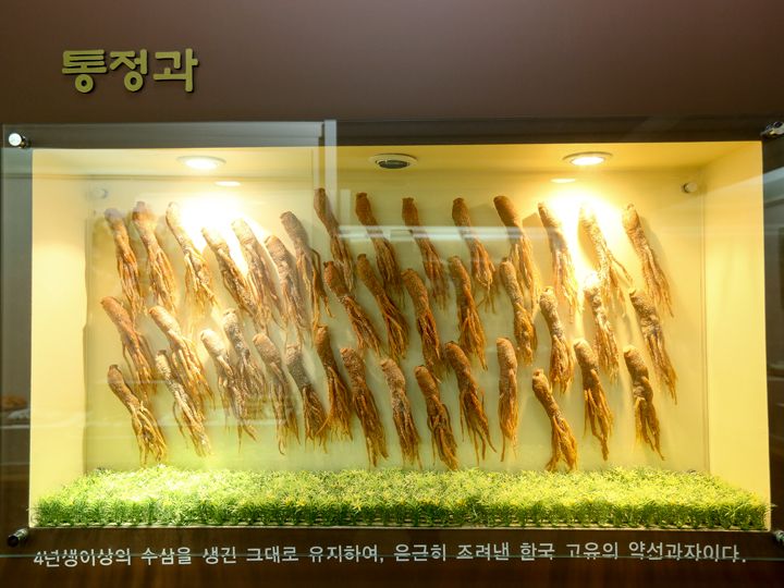 锦山高丽人参馆_韩国景点推荐_韩国旅游网-韩巢