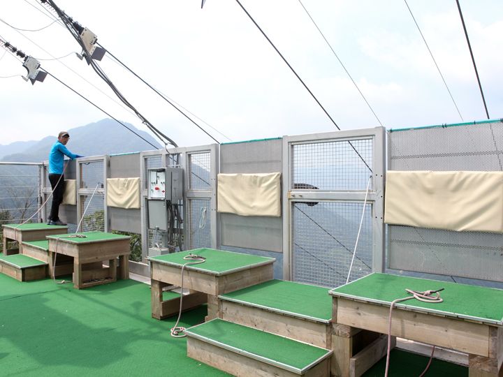 4个出发点
听从工作人员的指挥,按序等待