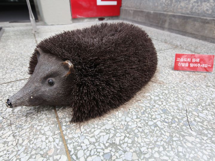 可爱的刺猬!它是用来清理鞋上尘土的抹布