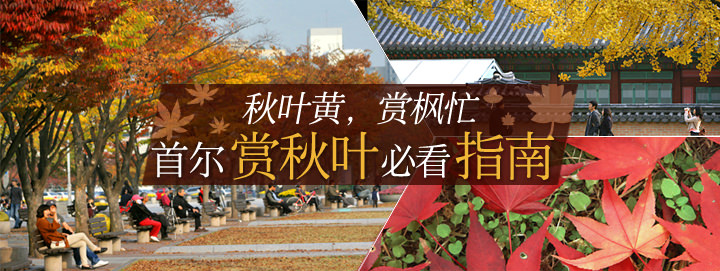 首尔赏枫必看指南