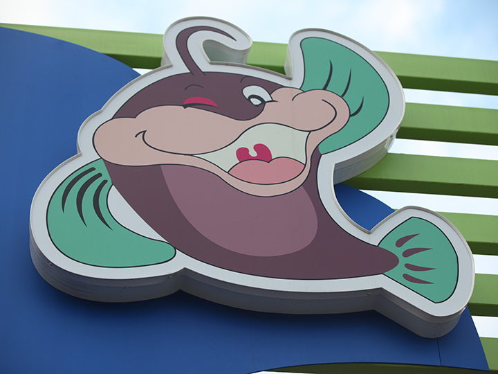 龙岘洞安康鱼街