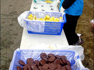 20KM，30KM的给水站提供巧克力派及香蕉