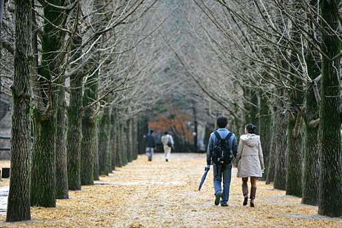 加平站
距离龙山站约55分钟
《冬季恋歌》的拍摄地,自然风光秀丽的南怡岛就位于此