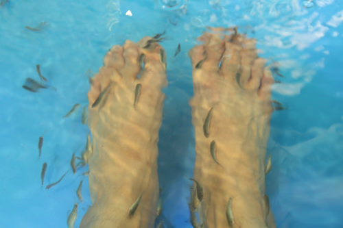 é­çæ±&nbsp;

ç¾å¤å°é­åç¹å¨è³çé±åï¼å¯ä»¥åæèåçè§è³ªãéç¶æè¦ºç¨å¾®æé»ç¢ï¼ä½æ³¡éå¾è³ç¢ºå¯¦é¡¯å¾æ´å&nbsp;ç´°å«©äºã