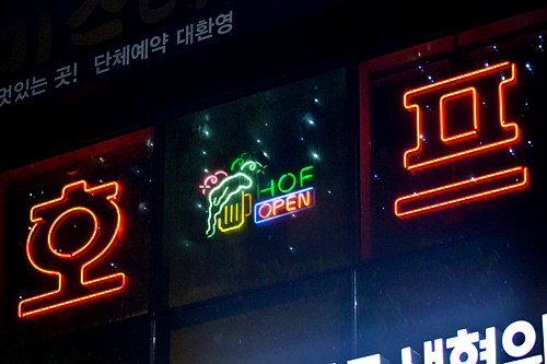 想喝生啤认准“호프(HOP)”标志的啤酒屋