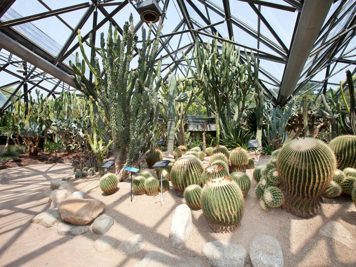 如美地植物园 韩国景点推荐 韩国旅游网 韩巢网