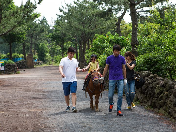 骑马体验
骑着小马漫步在山间小道