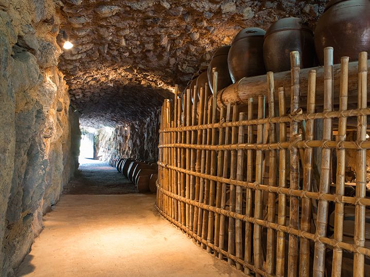 梅土窟
储藏休爱里收获的梅子用的
传统容器并排排放