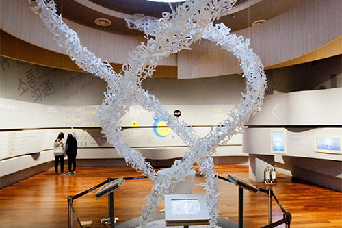 “世界化的推广”展区