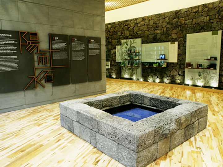 济州绿茶的故事