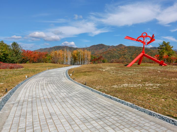 5~8月中旬是石竹花的季节