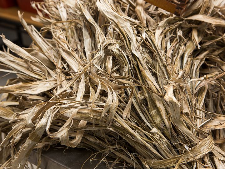 韩纸的原料为楮树的树皮