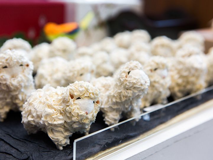 羊装装饰品 10,000韩元