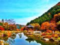 与韩屋相应的池中亭