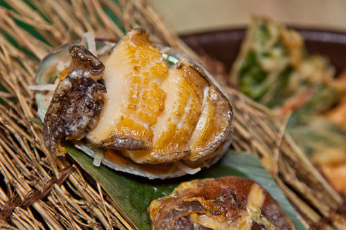 营养丰富的鲍鱼