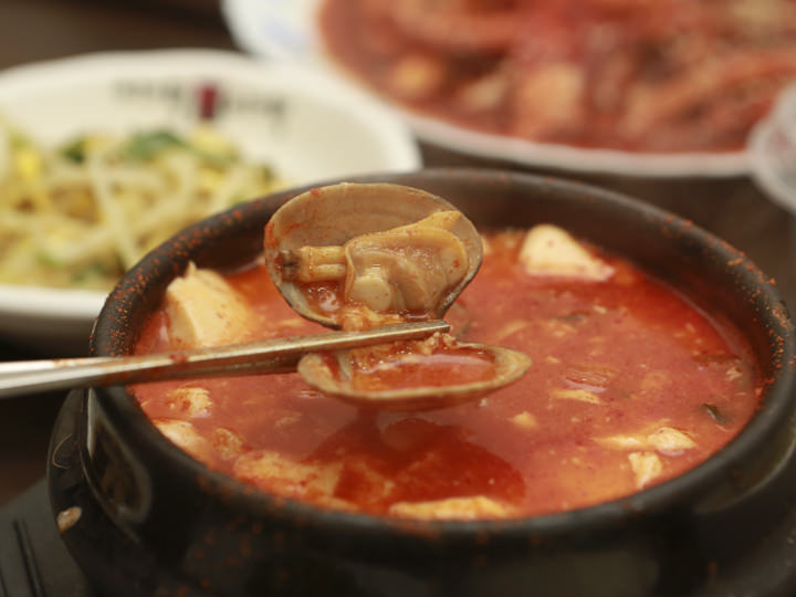 蛤仔的汤汁是汤的精华