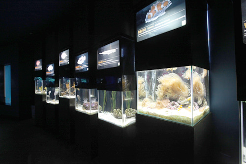 柱状节理隧道馆