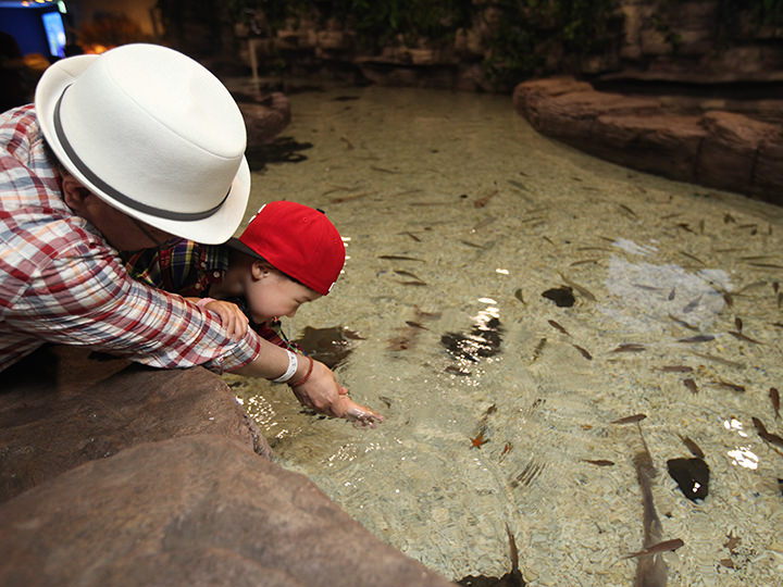 与海洋生物的亲密接触
