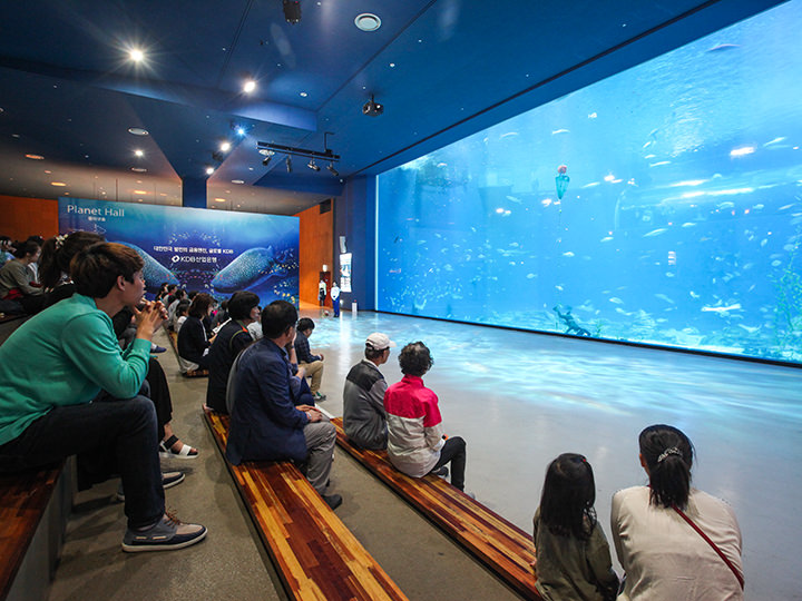 在观览席等待表演开始