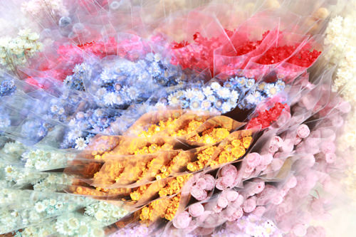 经过特殊处理的干花