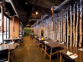 使用白桦树作为室内设计