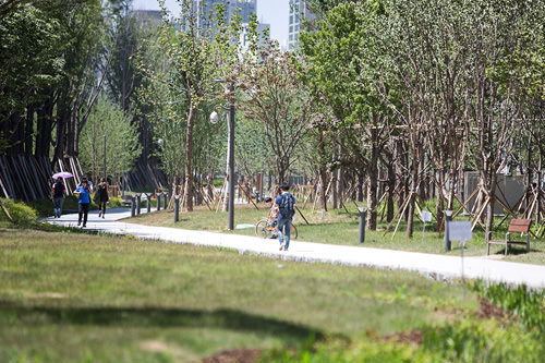 绿茵繁茂的“京义线林道”