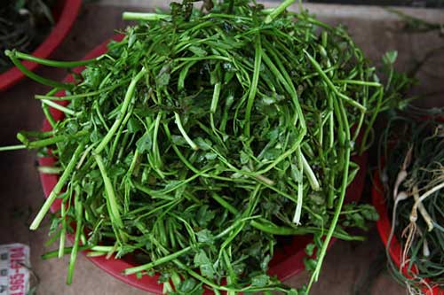 水芹菜(3~12月,特别是3月)  拌水芹菜,水芹菜煎饼,水芹菜牛肉鸡蛋卷
