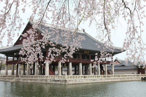 景福宫春花
3月末~5月末